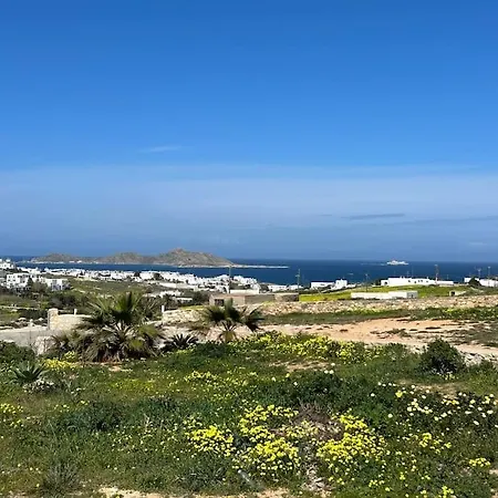 Aretoussa In Naoussa, Paros